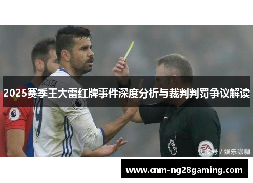 2025赛季王大雷红牌事件深度分析与裁判判罚争议解读