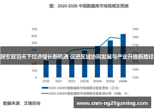 探索双羽天下经济增长新机遇 促进区域协同发展与产业升级新路径