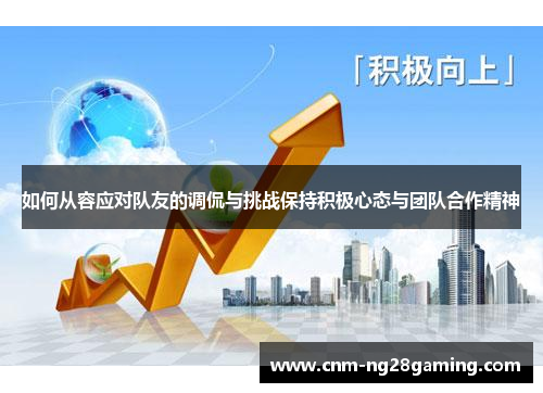 如何从容应对队友的调侃与挑战保持积极心态与团队合作精神