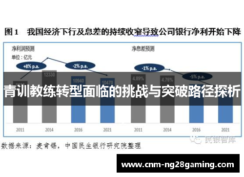 青训教练转型面临的挑战与突破路径探析