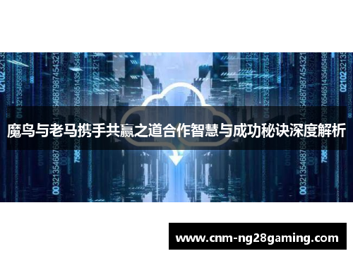 魔鸟与老马携手共赢之道合作智慧与成功秘诀深度解析