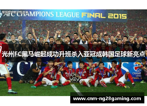 光州FC黑马崛起成功升班杀入亚冠成韩国足球新亮点 光州FC黑马崛起成功升班杀入亚冠成韩国足球新亮点