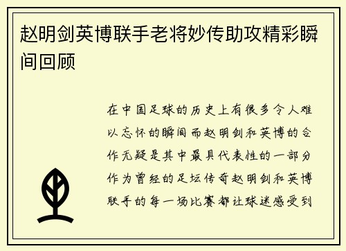 赵明剑英博联手老将妙传助攻精彩瞬间回顾